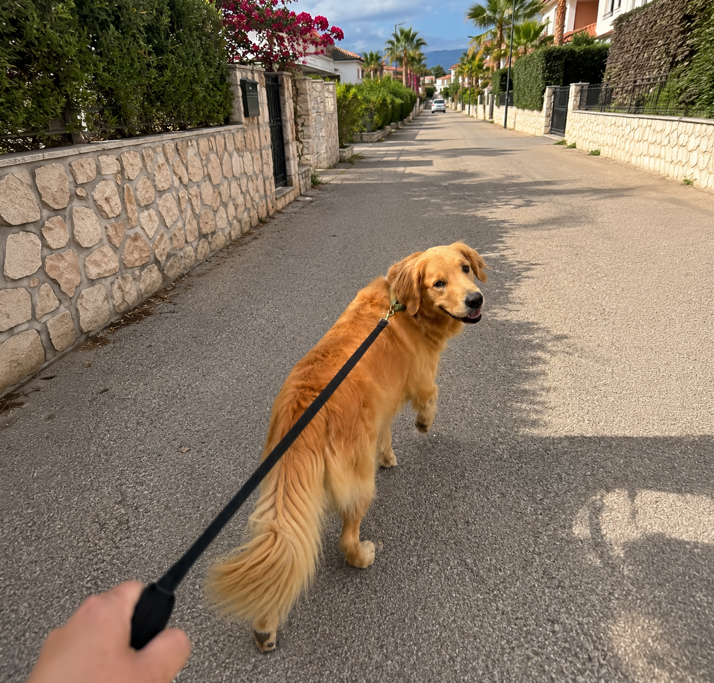 Everyday personal assistance and concierge coordination by Güzel°